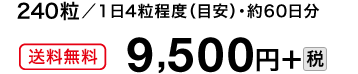 240粒／1日4粒程度（目安）・約60日分　送料無料　9,500円＋税