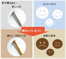 鉄で例えると・・・ 新しい釘 DHA・EPA 酸化してしまうと・・・ 酸化して錆びた釘 過酸化脂質 DHAとEPAの弱点は“酸化”です。酸化することで本来のパワーを充分に発揮できなくなってしまいます。