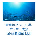 青魚のパワーの源、サラサラ成分（必須脂肪酸とは）