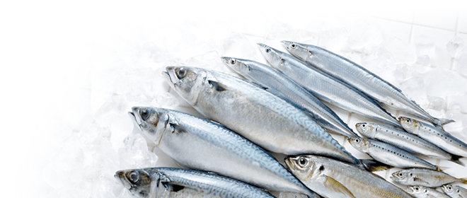 必須脂肪酸 DHAとEPAの違いとは？　それぞれに特徴のあるDHAとEPAへの期待が高まる