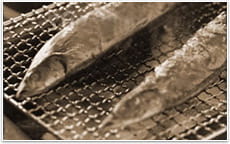 庭に出て、七輪でサンマを塩焼きにしたり・・・焼きあがるまでの煙やしたたる脂に、とても食欲をそそられたものです。