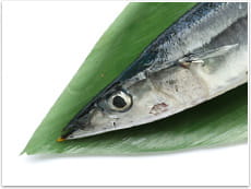 DHAやEPAは、青魚の頭の部分などに特に多く含まれている成分です。