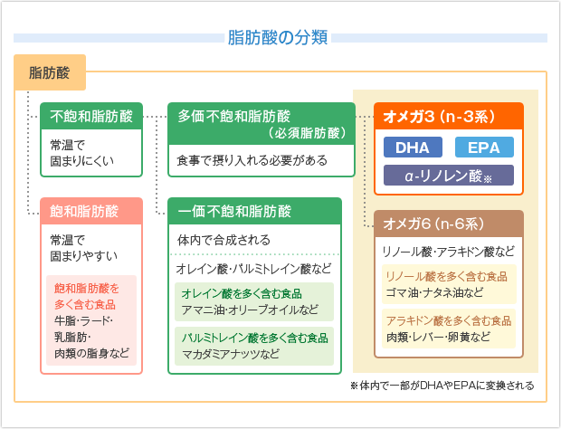 脂肪酸の分類