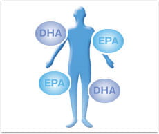 DHAとEPAは人間の全身に存在する構成成分で、必須脂肪酸と呼ばれています。