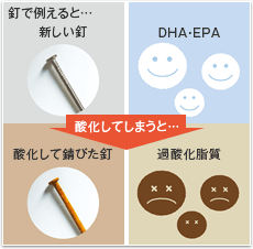 釘で例えると・・・新しい釘　DHA・EPS　酸化してしまうと・・・　酸化して錆びた釘　過酸化脂質