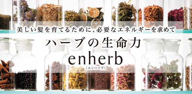 美しい髪を育てるために、必要なエネルギーを求めて ハーブの生命力 enherb(エンハーブ)
