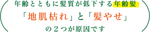 年齢とともに髪質が低下する年齢髪「地肌枯れ」と「髪やせ」の２つが原因です