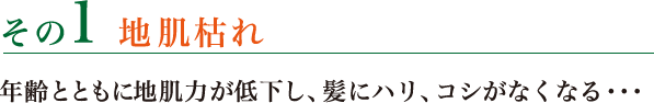 その1 地肌枯れ 年齢とともに地肌力が低下し、髪にハリ、コシがなくなる…