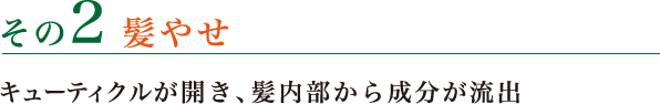 その2 髪やせ キューティクルが開き、髪内部から成分が流出