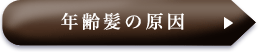 年齢髪の原因