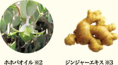 ホホバオイル ※2 ジンジャーエキス ※3