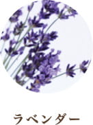 ラベンダー