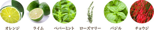 オレンジ ライム ペパーミント ローズマリー バジル チョウジ