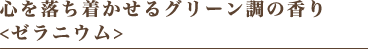 心を落ち着かせるグリーン調の香り <ゼラニウム>