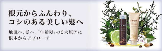 根元からふんわり、コシのある美しい髪へ 地肌へ、髪へ。「年齢髪」の2大原因に根本からアプローチ