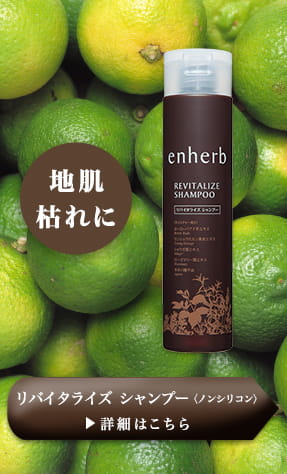 地肌枯れに リバイタライズ シャンプー＜ノンシリコン＞ 詳細はこちら