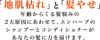 「地肌枯れ」 と 「髪やせ」　年齢からくる髪悩みの2大原因にあわせて、エンハーブのシャンプーとコンディショナーがあなたの髪に力を届けます。