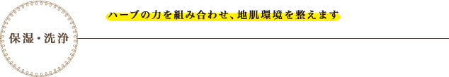 保湿・洗浄　ハーブの力を組み合わせ、地肌環境を整えます