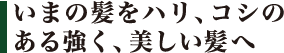 いまの髪をハリ、コシのある強く、美しい髪へ