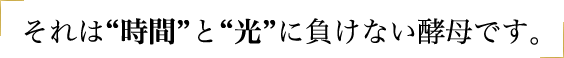 それは“時間”と“光”に負けない酵母です。