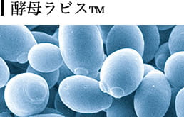 酵母ラビス&trade;