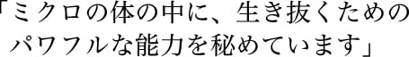 「ミクロの体の中に、生き抜くためのパワフルな能力を秘めています」