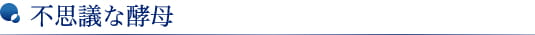 不思議な酵母