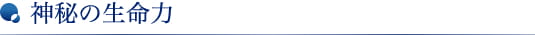 神秘の生命力