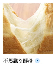 不思議な酵母