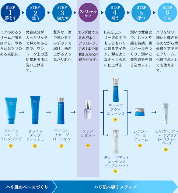 ６ステップイメージ