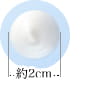 直径2cmくらいのイメージ