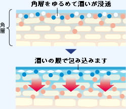 深層※1浸透メソッドのイメージ