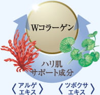 ハリ成分の組み合わせイメージ