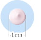 約1cmのイメージ