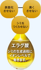 ハリ成分の組み合わせイメージ