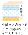 化粧水と重なることで潤いベールをつくります。