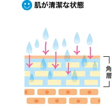肌が清潔な状態のとき