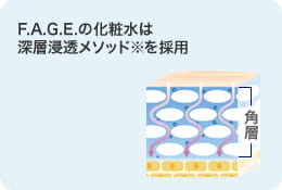 F.A.G.E.の化粧水は深層浸透メソッド※を採用