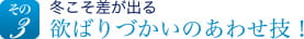 その3　冬こそ差が出る　欲ばり使いのあわせ技！