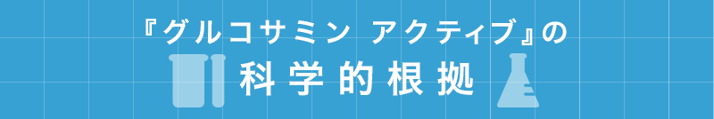 『グルコサミン アクティブ』の科学的根拠