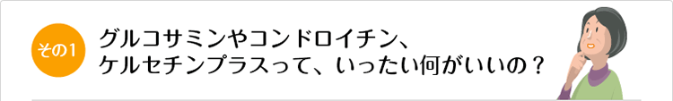 その1 グルコサミンやコンドロイチン、ケルセチンプラスって、いったい何がいいの？