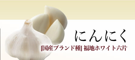 にんにく　[国産ブランド種]福地ホワイト六片]