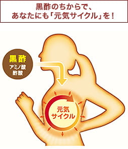 黒酢のちからで、あなたにも「元気サイクル」を！