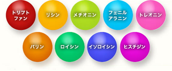 トリプトファン・リシン・メチオニン・フェニルアラニン・トレオニン・バリン・ロイシン・イソロイシン・ヒスチジン