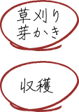 草刈り芽かき・収穫