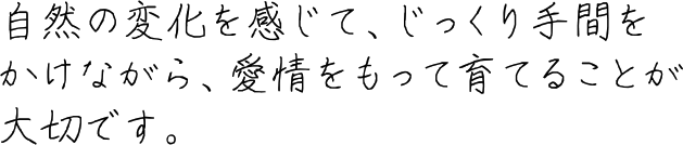 自然の変化を感じて、じっくり手間をかけながら、愛情をもって育てることが大切です。