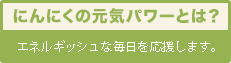 にんにくの元気パワーとは？エネルギッシュな毎日を応援します。