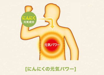 にんにくの元気パワー