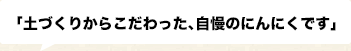 土づくりからこだわった、自慢のにんにくです
