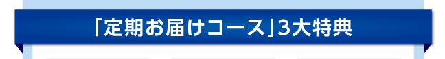 「定期お届けコース」4大特典
